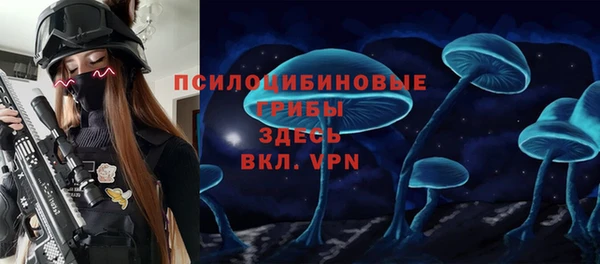 не бодяженный Надым
