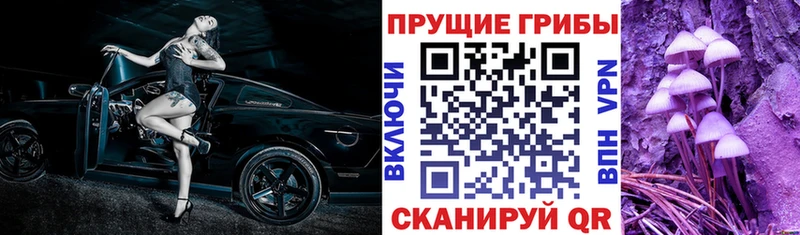 Псилоцибиновые грибы мухоморы  сколько стоит  Курлово 